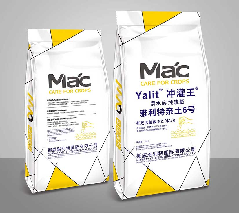 ����������6��2��